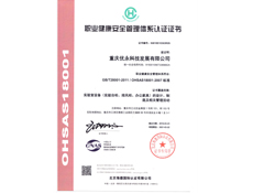 重庆香蕉视频18在线观看设计